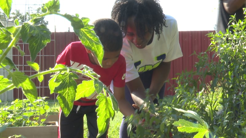 Killeen teen mentorship program opens to help curb violence