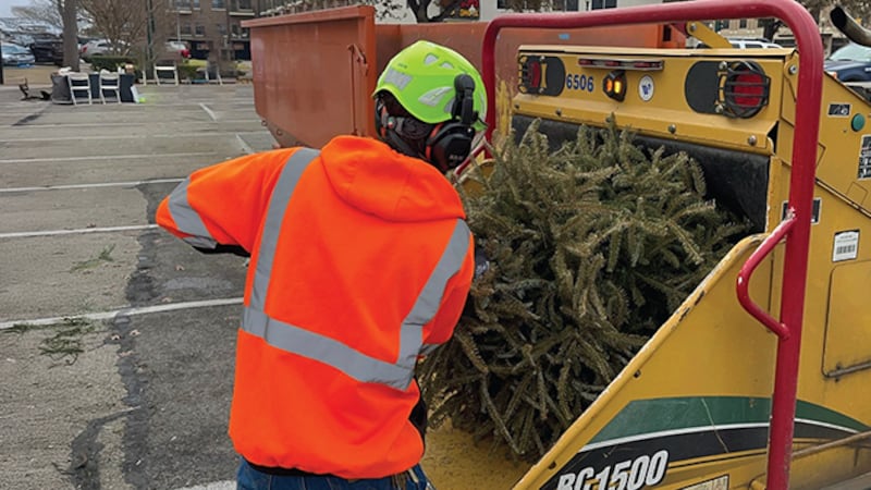 City of Waco offers free Christmas tree recycling event