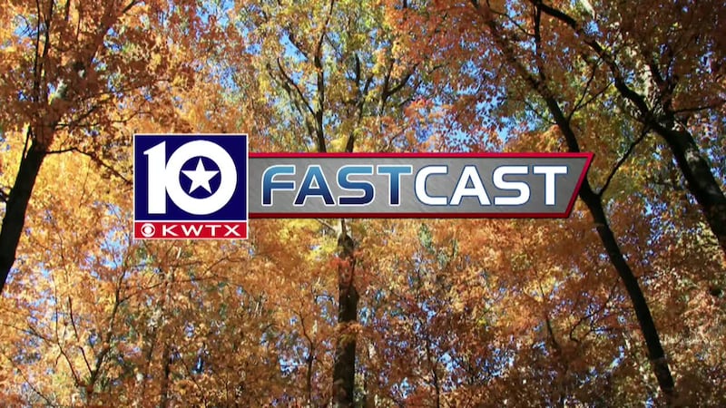 fastcast fall trees forest foliage