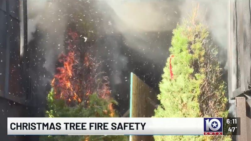 Waco Fire Dept. Christmas Tree Safety