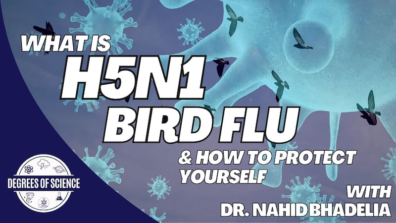 We are talking with a leading infectious disease about what Bird Flu is and what you can do to...