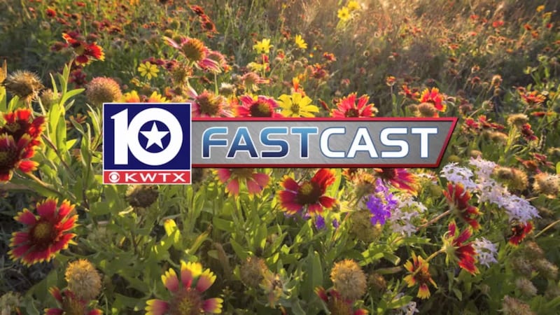 fastcast flowers
