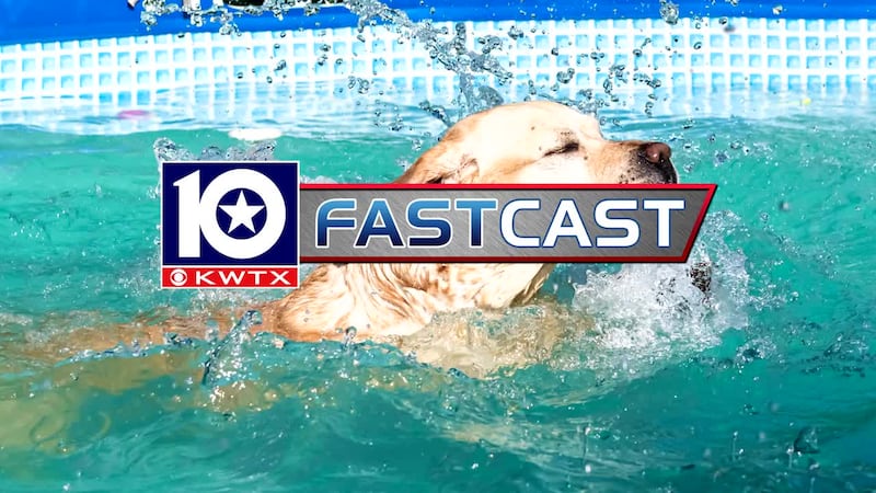 fastcast heat hot summer dog days of summer pool pets heat relief water splash swim swimming...