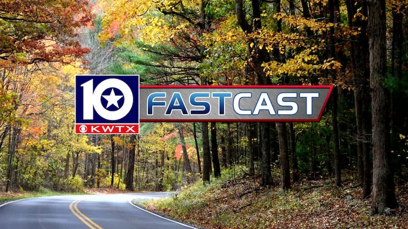 fastcast fall afternoon falling leaves