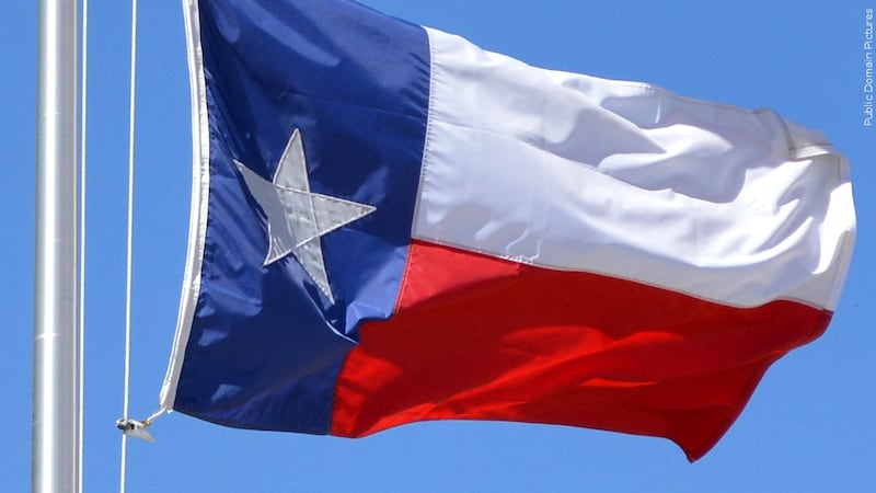 State flag of Texas