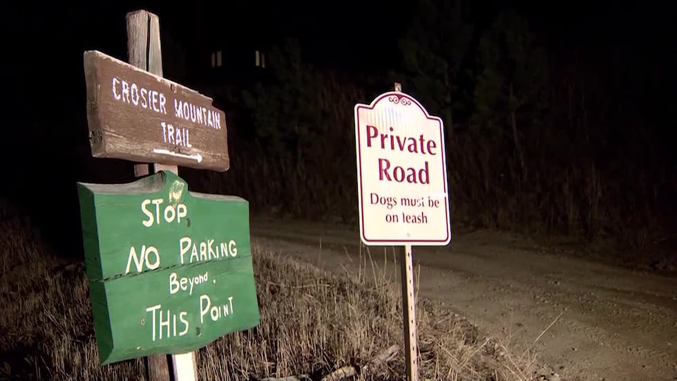 Two mountain lions were later located in the area and shot by wildlife officials.