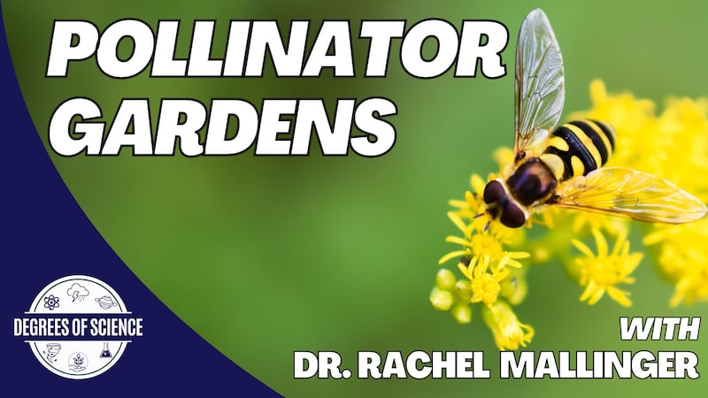 In this week's Degrees of Science we are talking about what you can do in your yard & garden...