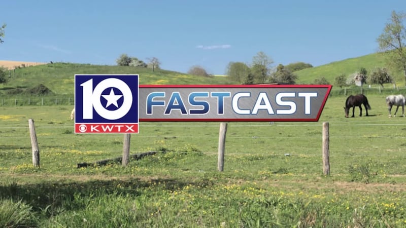 fastcast sunny horse fence blue sky green grass field