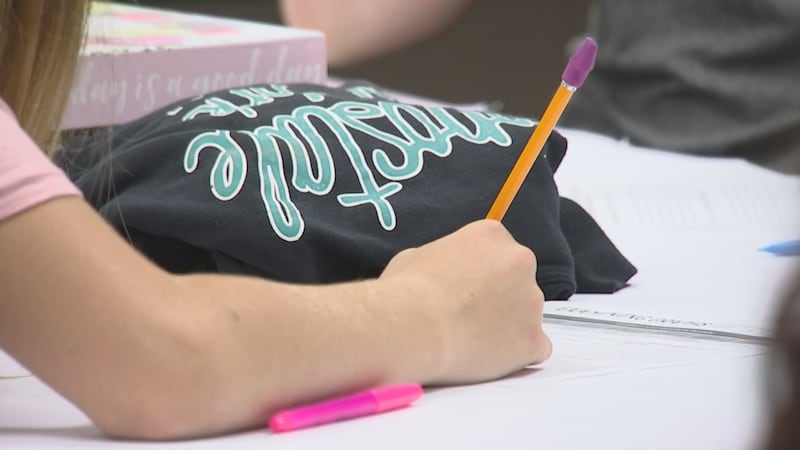 How to have a healthy mental and physical start to the school year, mental health expert explains