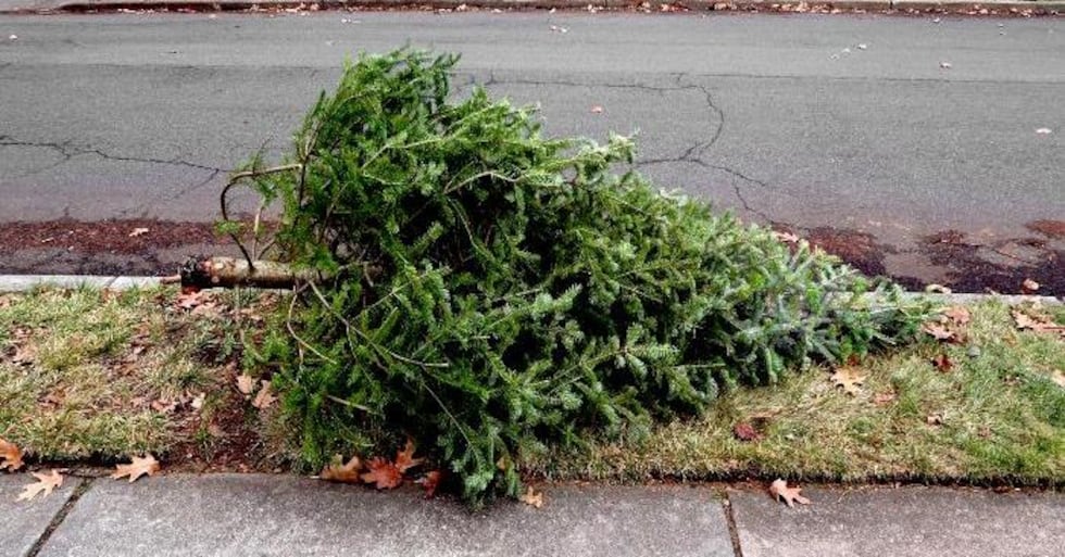City of Waco offers free Christmas tree recycling event