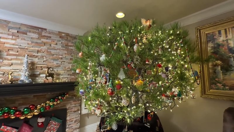Gina and Joe Mistretta bought their family Christmas tree in 1983, and they’ve kept it alive...